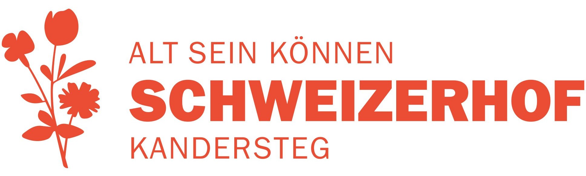 Seniorenzentrum Schweizerhof AG Kandersteg